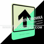 Тактильно-визуальный знак Е.1 с шрифтом Брайля "Прямо, вперед и вверх". ПВХ 3 мм. Фотолюминисцентная
