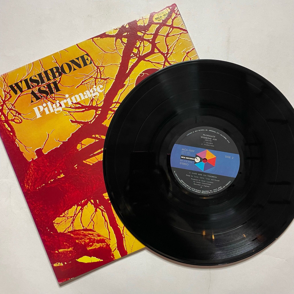 Винтажная виниловая пластинка LP Wishbone Ash Pilgrimage (Japan 1980) (No Obi)