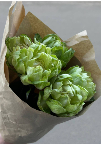 Rose Veggie