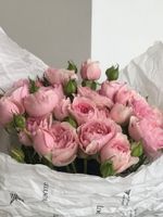 Букет из кустовой пионовидной розы