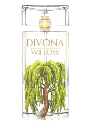Divona Willow