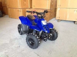 Квадроцикл RAPTOR 110