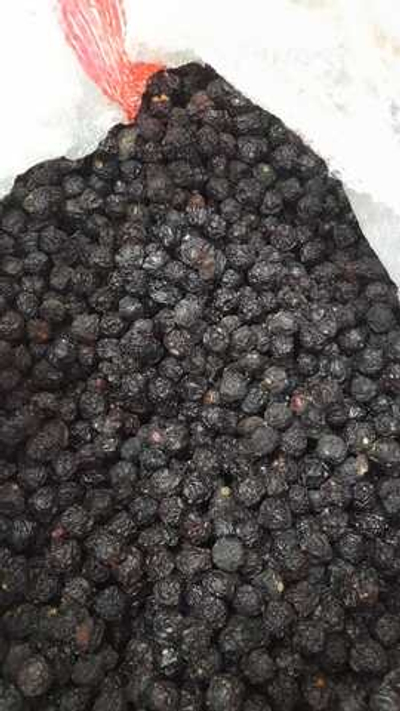 Вишня плод сухой вяленый цельн с косточкой Алтай