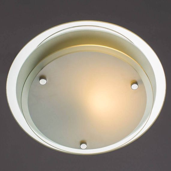 Потолочный светильник Arte Lamp A4867PL-1CC