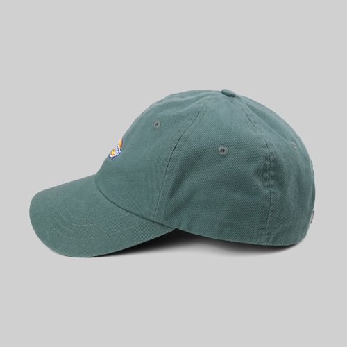 Кепка Dickies Hardwick 6 Panel Logo артикул:DK0A4TKVH151 - купить в магазине Дайс