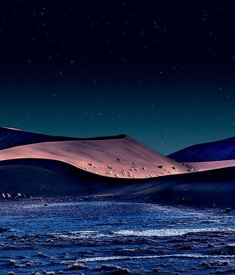 Roses des Sables brown, спрей для дома Vents d’Arabie collection, Ladenac Milano