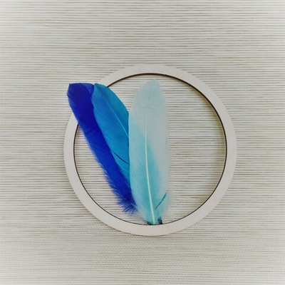 Основа для ловца снов 17 см.