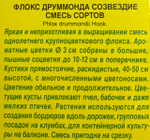 Флокс друммонда Созвездие, смесь сортов СМЦ-817