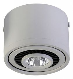 Накладной светильник Favourite Reflector 1775-1C