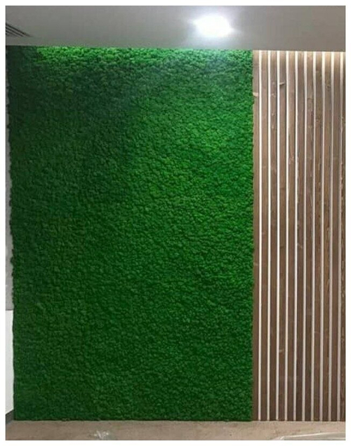 Панно из мха Ягель