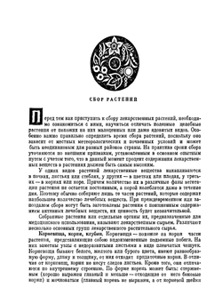 Лекарственные растения в быту | Л.Я. Скляревский; И.А. Губанов