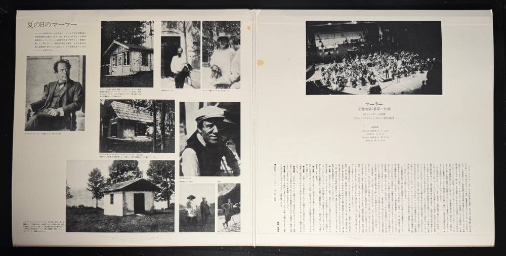 Виниловая пластинка Малер - Симфония № 5 2LP