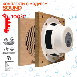 Комплект домашней акустической системы с  караоке-усилителем Steam & Water SOUND SAUNA S2