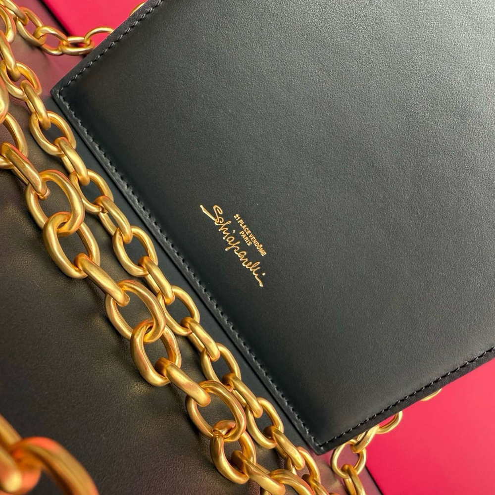 Сумка Schiaparelli