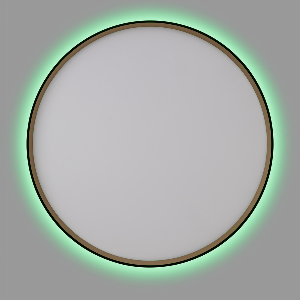 Потолочный светодиодный светильник Citilux Etalon CL750501R