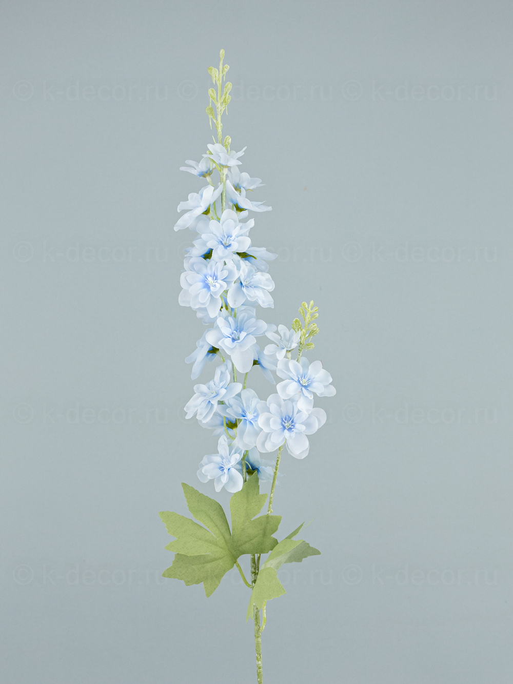 Дельфиниум Эстер