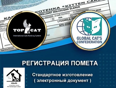 Регистрация котенка (GCC или TOP CAT)