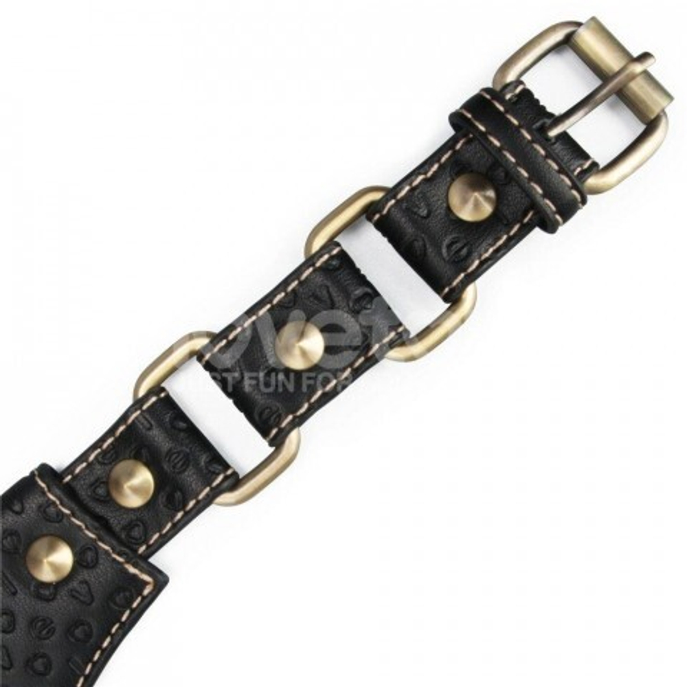 Ошейник с поводком в виде галстука Rebellion Reign