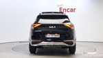 Kia Sportage 5 Generation Бензин 1.6 Turbo 2WD (04.2023)