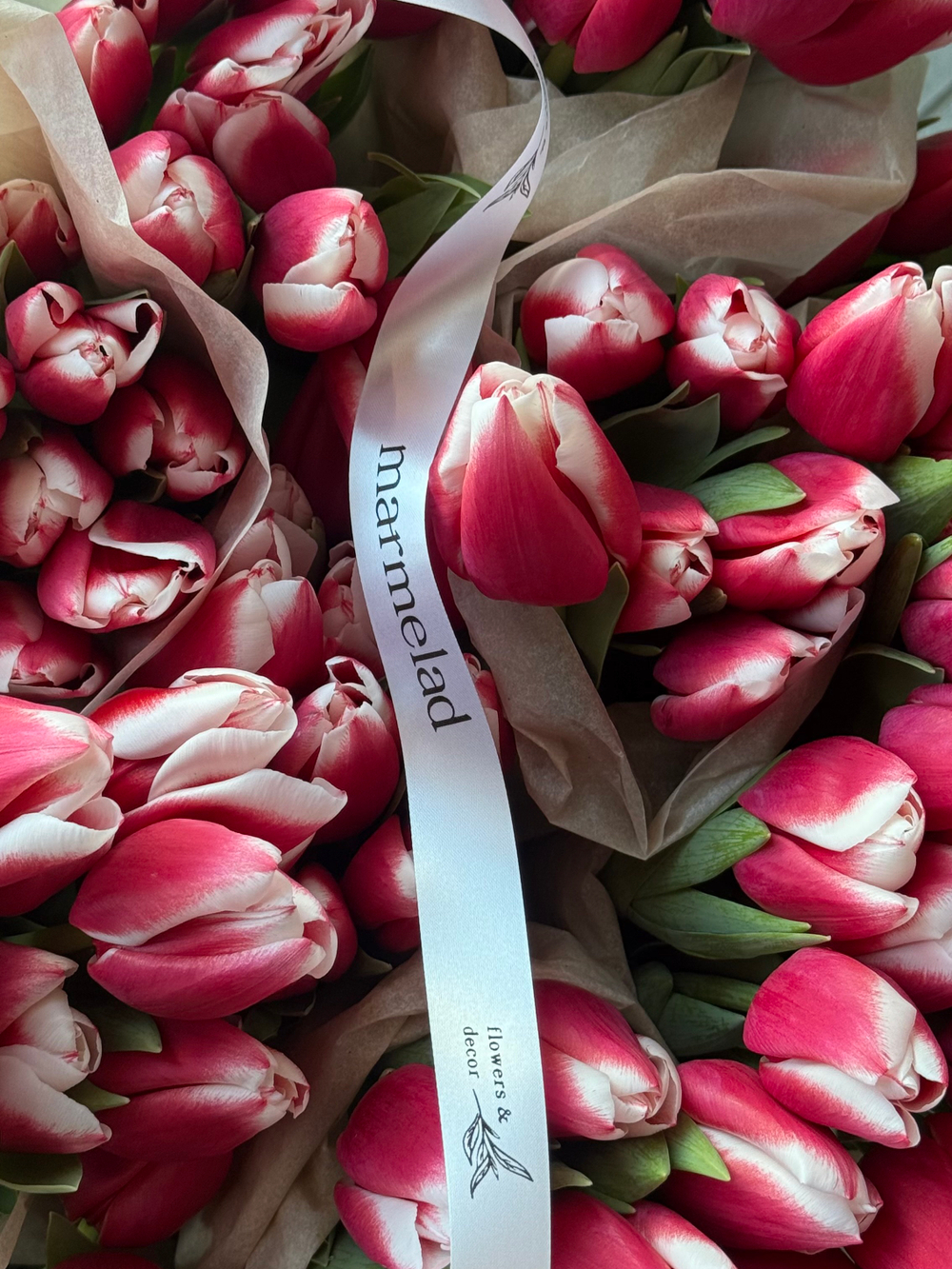 Тюльпаны классика - красно-белый цвет