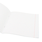 Тетрадь 48л., А5, клетка, Проф-Пресс, "Летающий кот", скрепка, обл. мелован. картон, твин-лак, фольга