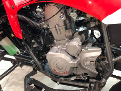 MOTOLAND ATV 250S (2021)