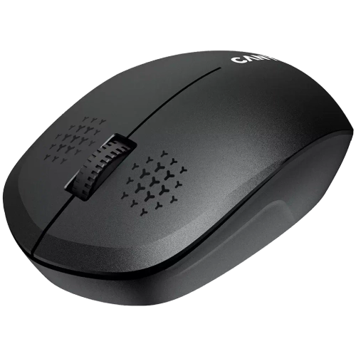 Мышь Canyon MW-04 (CNS-CMSW04B) черный