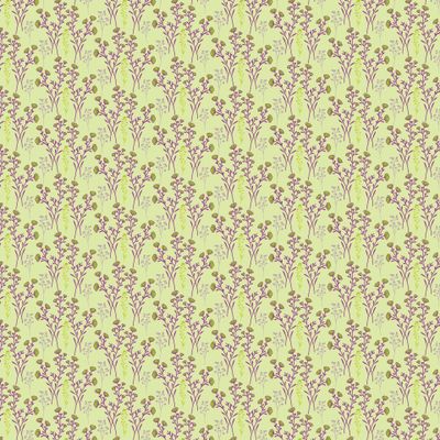 meadow