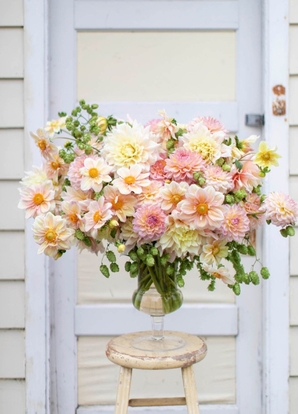 Floret Farm`s. Discovering Dahlias: A Guide to Growing and Arranging Magnificent Blooms