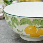 Бульонница 700мл 15см Lemon