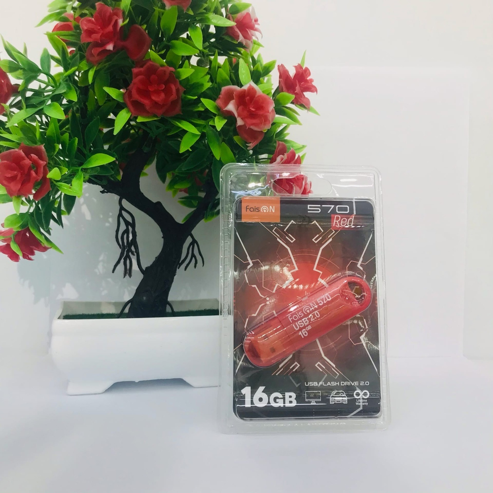 USB Флешка 16GB Faison 570, USB 2.0, красная