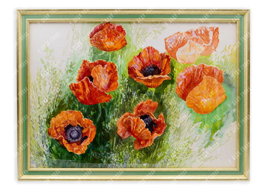 Бурков А. В. Красные маки в поле. 2000. Бумага, акварель.