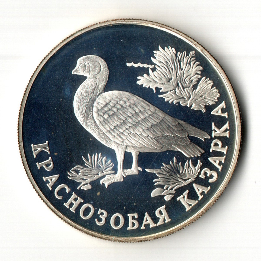 1 рубль 1994 год Красная Книга Краснозобая казарка. Proof