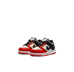 Детские кроссовки Nike x NBA Dunk Low EMB '75th Anniversary - Bulls' DC9562-100