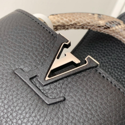 Louis Vuitton Capucines Mini