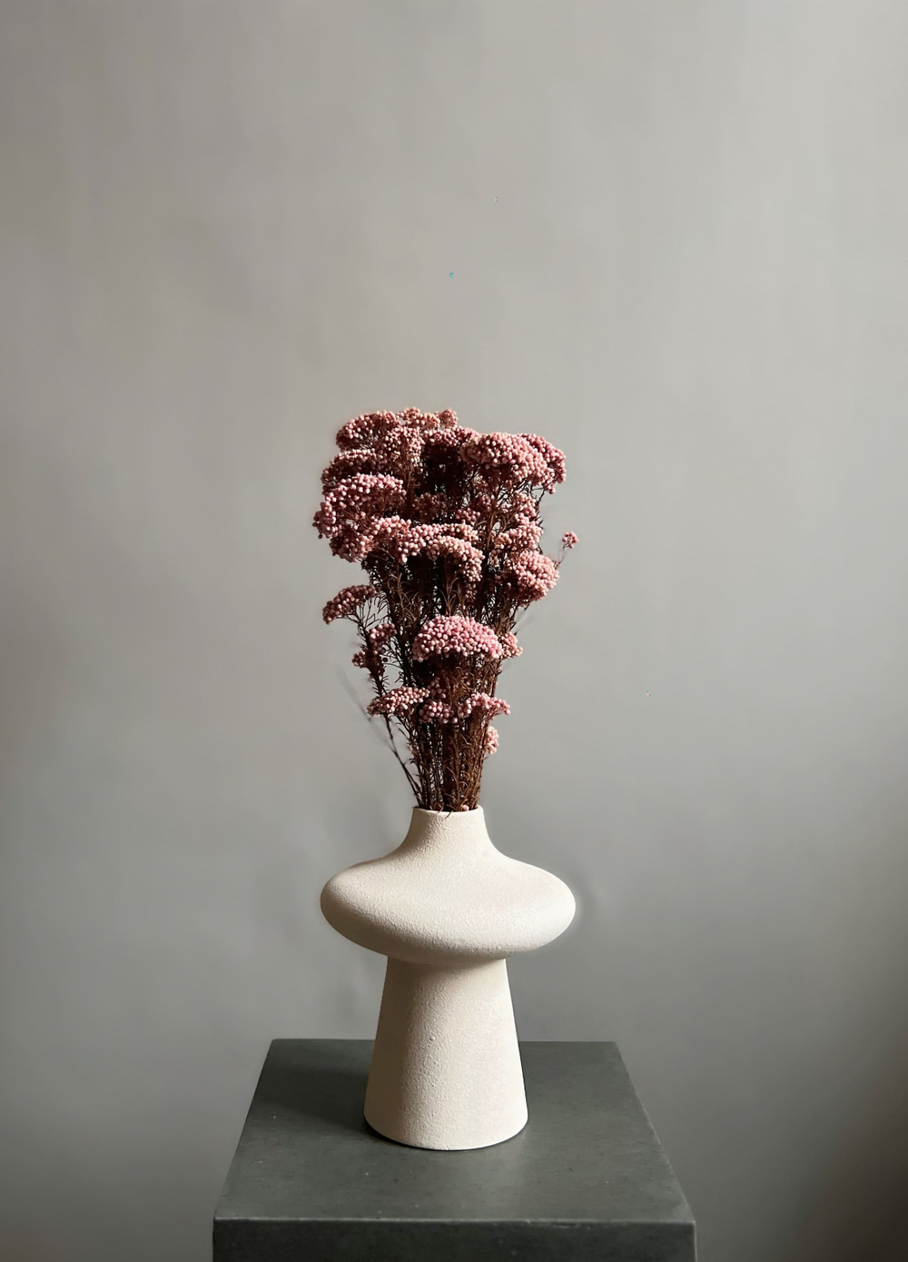 Озотамнус стабилизированный нежно-розовый