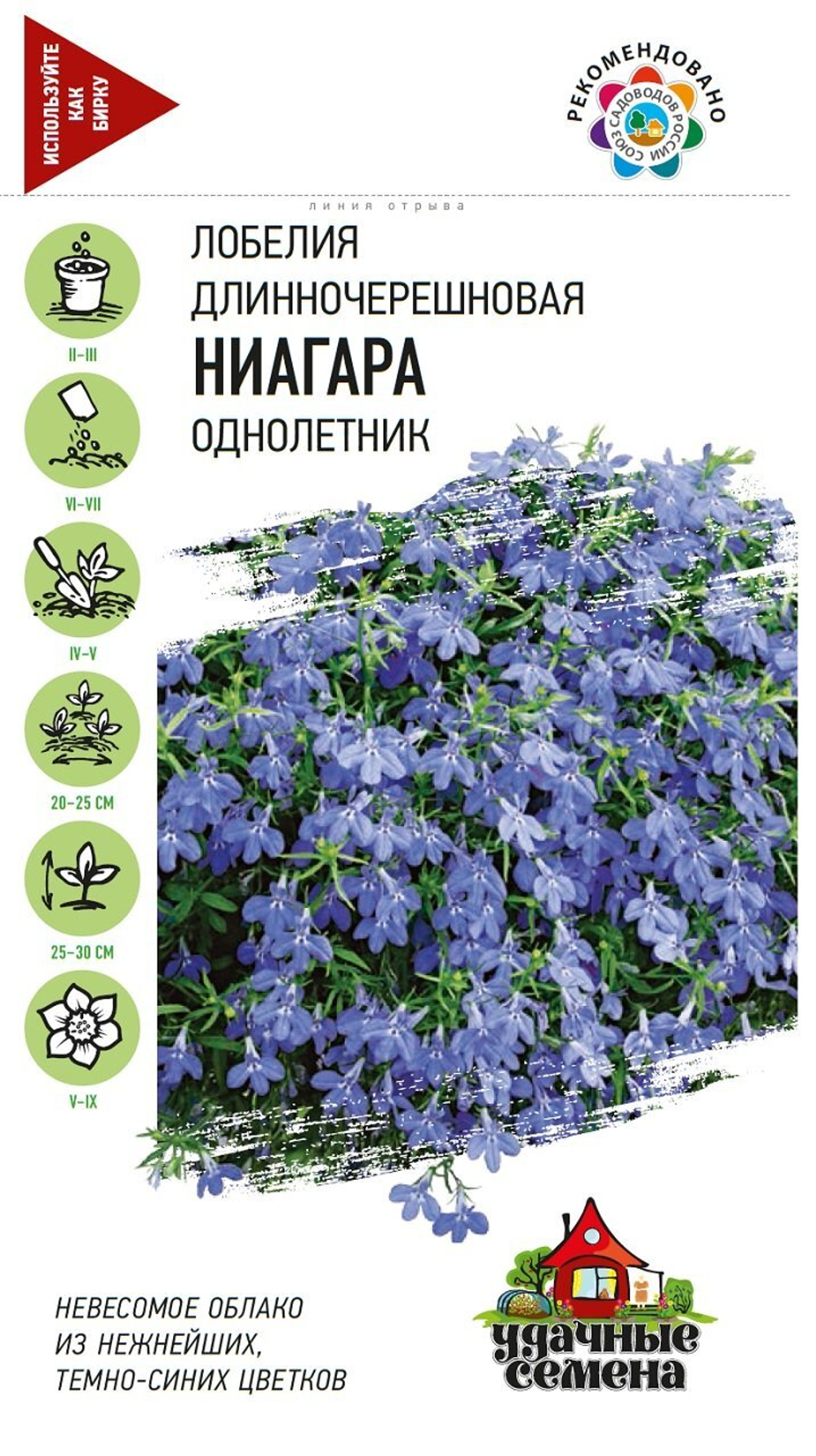 Лобелия Ниагара длинночерешковая