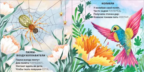 Книжки - картонки. Загадки - рифмы. Кто летает