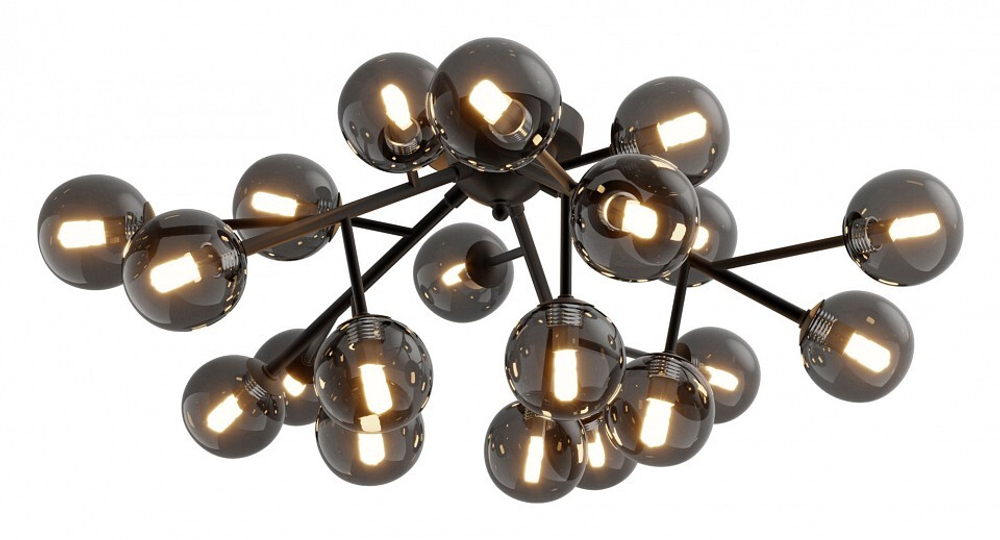 Накладная люстра Maytoni MOD545CL-20B