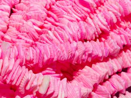 Нить бусин из ракушек freeform, 10мм