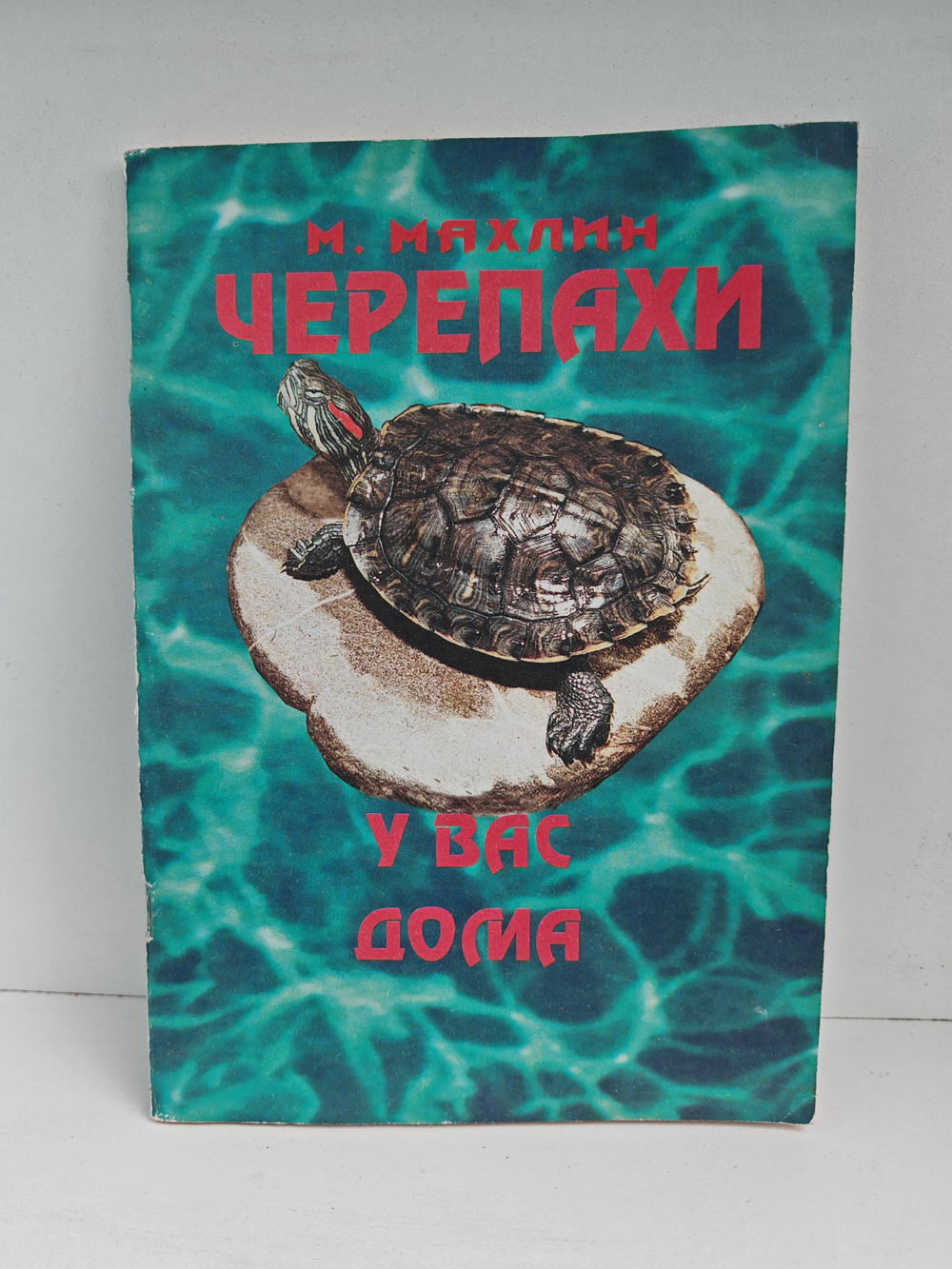 Черепахи у вас дома