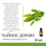 Эфирное масло чайного дерева / Melaleuca Alternifolia Oil