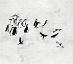 Дизайнерские обои Factura PINGUINE