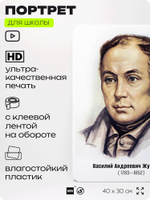 Портрет для школы в кабинет литературы и русского языка "Жуковский Василий Андреевич", стенд школьный для класса, для оформления классного уголка, 40х30 см, Silver Plane x Айдентика Технолоджи
