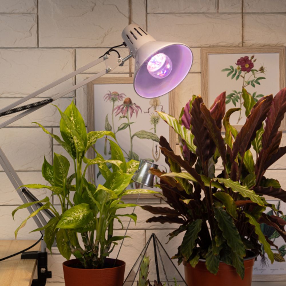 Фитолампа для растений светодиодная ЭРА FITO-11W-Ra90-E27 полного спектра 11 Вт Е27