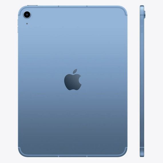iPad 11&quot; (A16) Wi-Fi + Cellular 256 ГБ (Blue / Синий)