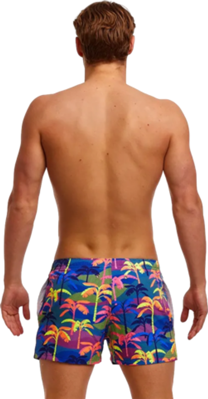 Шорты FUNKY TRUNKS Men’s Palm A Lot