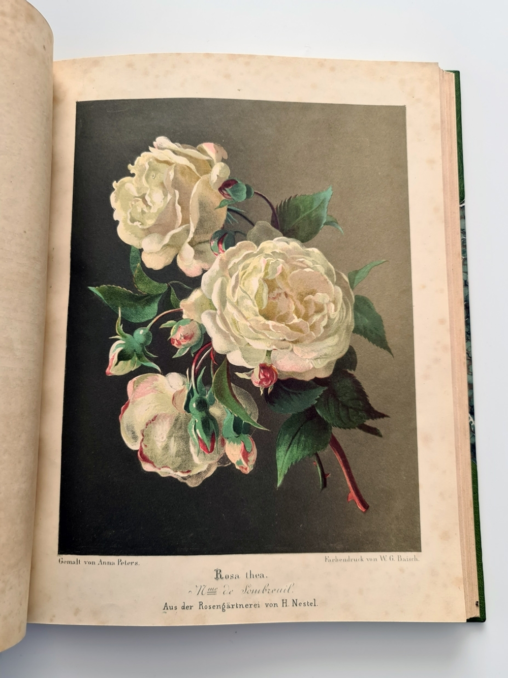 "Nestel`s Rosengarten. [  Сад роз Нестела]". E. Schweizerbartsche Verlagshandlung. 1869г.