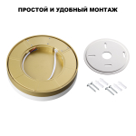 359734 STREET NT25 780 золото матовое Светильник потолочный с переключ. цв. температуры и мощности LED IP65 30/35/40W 180-265V 2700К\3200К\4000К OPAL