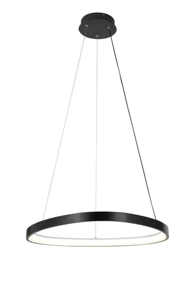 2550/650P BLACK (1) Подвесной светильник  (RL)